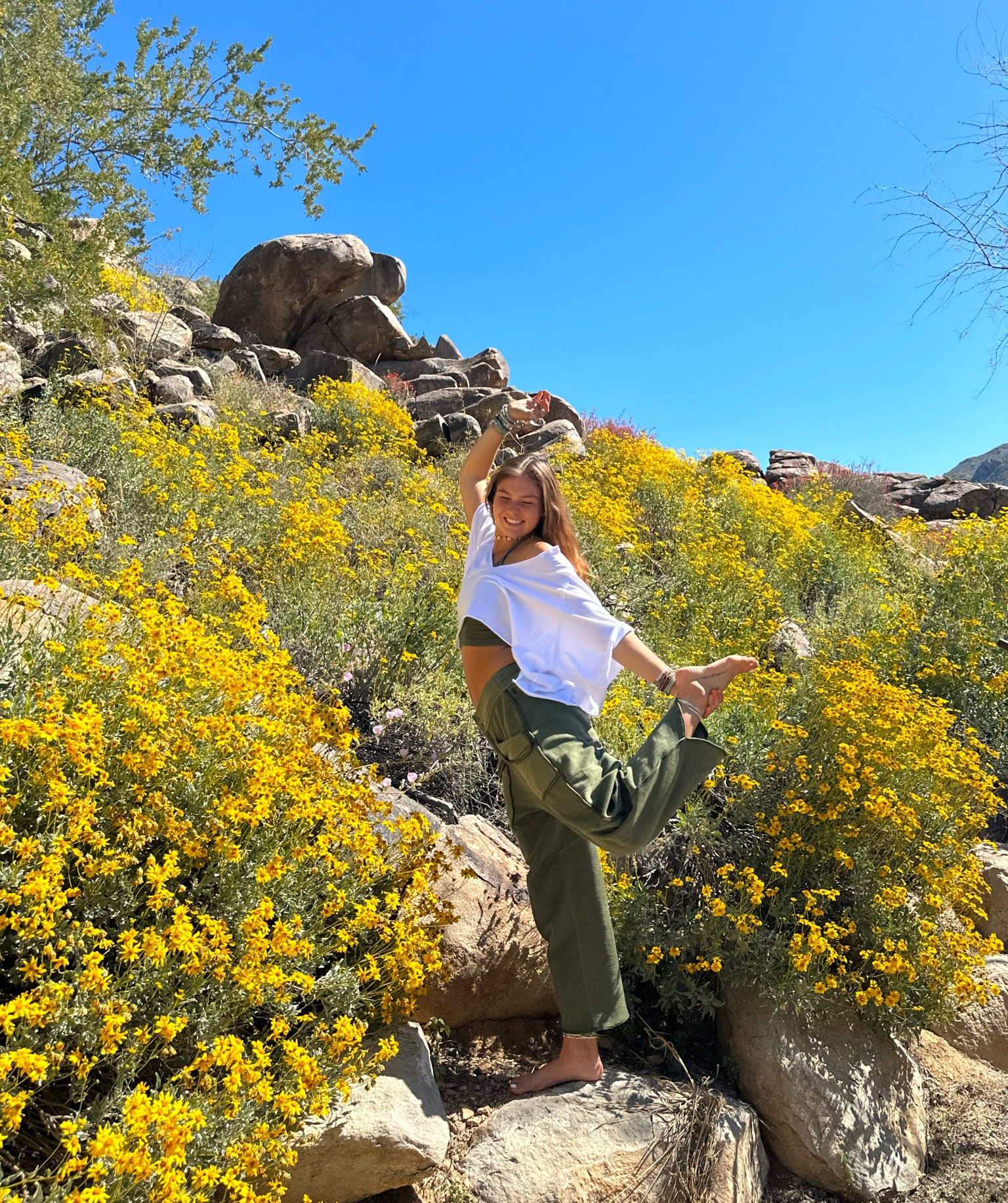 Yoga in FP Movement in Tucson AZ 🌼🌱

#LTKFind #LTKfit #LTKGiftGuide