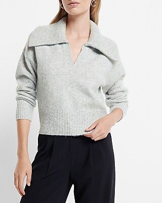 Collared V-neck Long Sleeve Sweater | Express