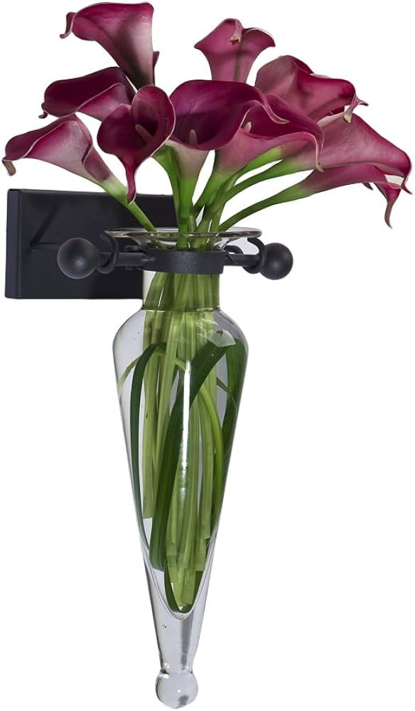 Danya B Decorative Wall Mount Amphora Glass Flower Vase on Iron Sconce with Finials Clear Glass, ... | Amazon (US)