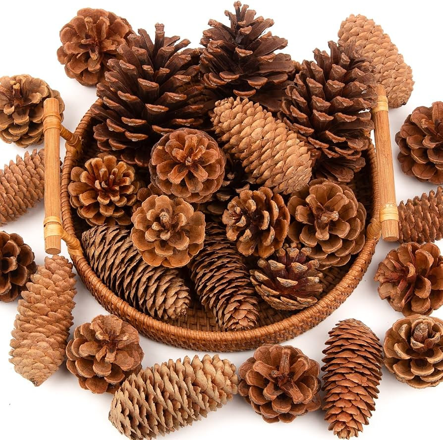 54 PCS Natural Pine Cones for Crafts Set 1.2"-4" Medium & Extra Large Pinecones Decorating Bulk, ... | Amazon (US)