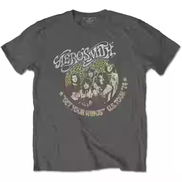 Aerosmith Unisex T-Shirt Cheetah Print (Large) | Walmart (US)