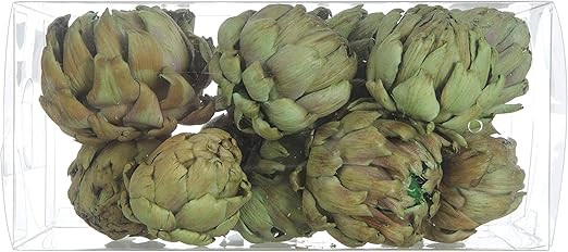 Creative Co-op Boxed (Set of 9 Styles) Dried Artichokes, Green | Amazon (US)