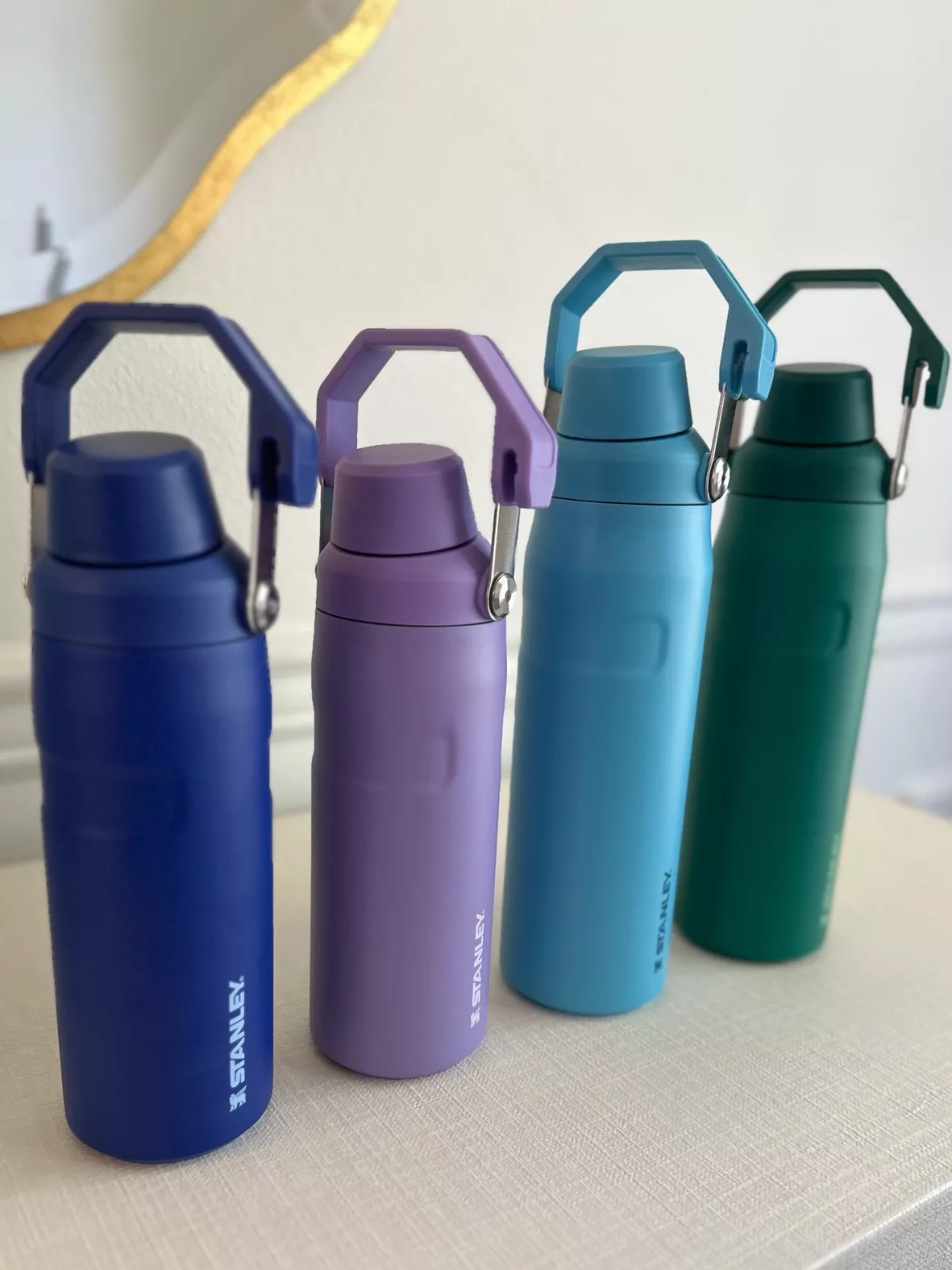 IceFlow Bottle with Fast Flow Lid