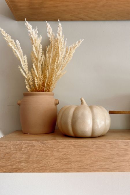 The cutest fall details! I decorated my kitchen shelves for fall using this cute dried grass faux plant and this ceramic pumpkin from target! 

#LTKhome #LTKunder50 #LTKSeasonal