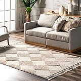 nuLOOM 8'10" x 12' Marissa Diamond Tasseled Indoor Area Rug, Farmhouse Style for Living Room, Bed... | Amazon (US)
