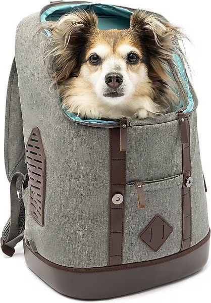 Kurgo K9 Rucksack Dog & Cat Carrier Backpack, Heather Gray | Chewy.com