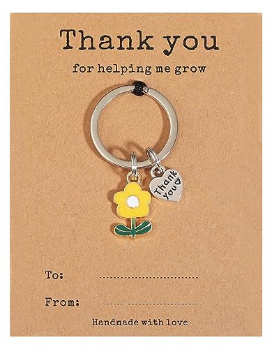 Amazon.com: Miss Pink Teacher Appreciation Gifts for Women, Teacher Keychain Teachers Gifts End o... | Amazon (US)