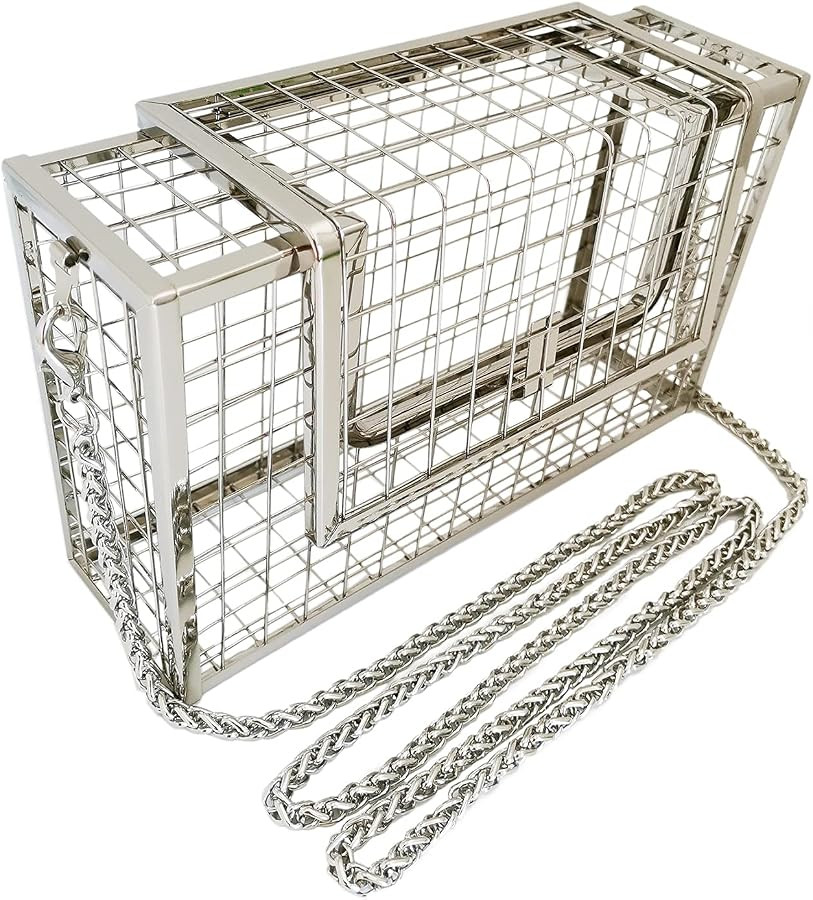 Cage Clutch Purse Evening Bag Metal Transparent Fancy Hollow Out Shoulder Crossbody Caged Handbag... | Amazon (US)