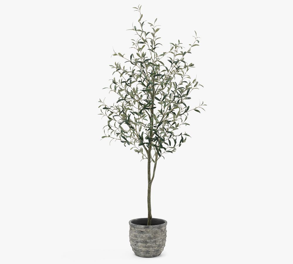 Faux Potted Olive Trees | Pottery Barn (US)