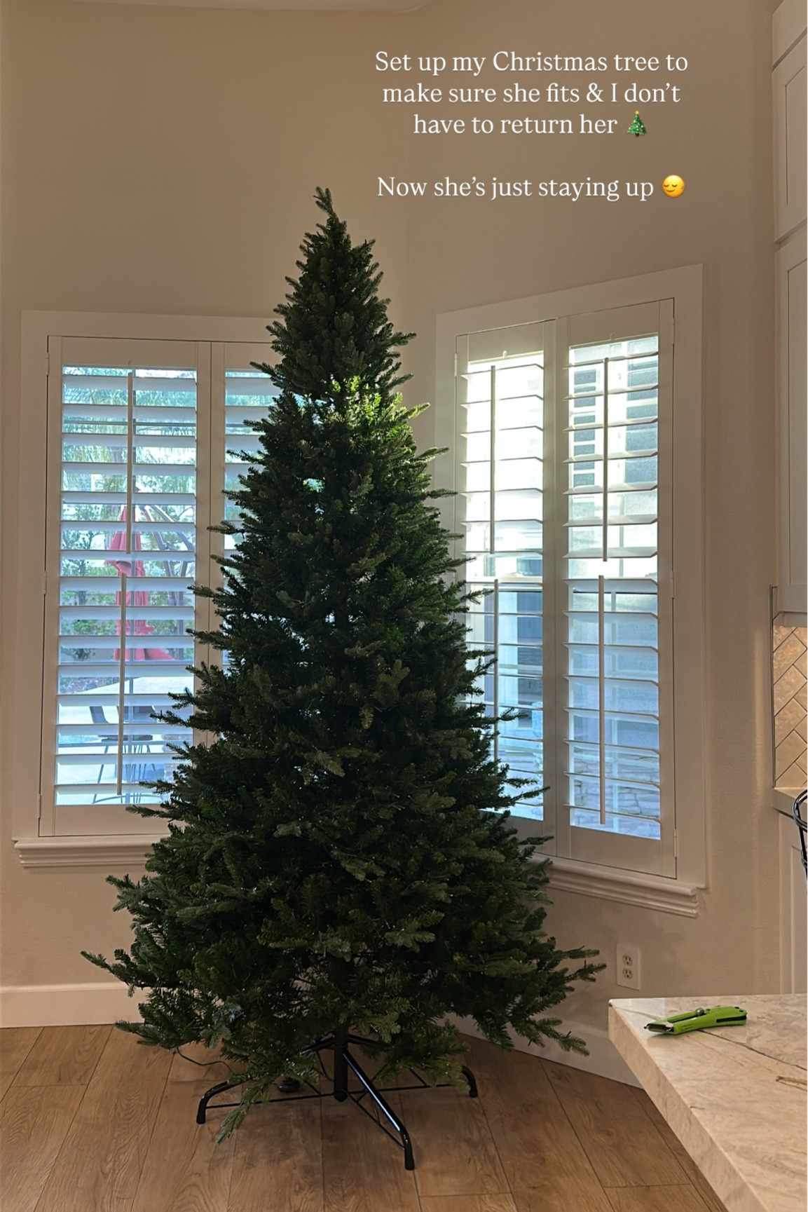 Set up my Christmas tree to make sure she fits & I don’t have to return her 🎄 

Now she’s just staying up 🙂‍↔️