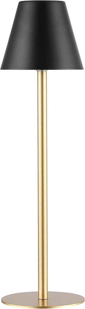 LEDLUX Cordless LED Table Lamp 5000mAh, Rechargeable Desk Lamp, Wireless Small Night Light, Metal... | Amazon (US)