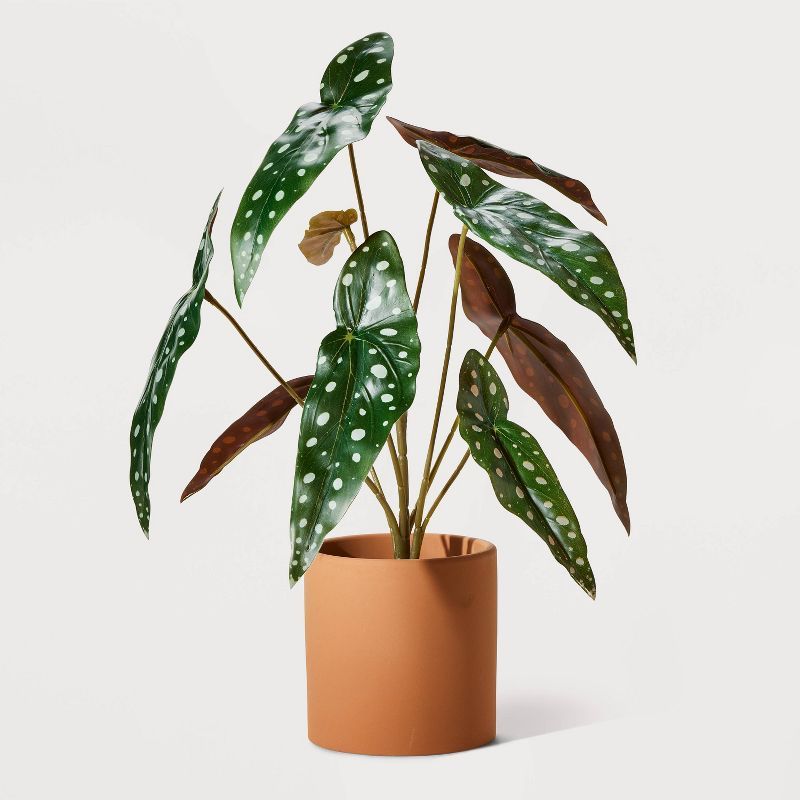 16" Artificial Polka Dot Plant - Hilton Carter for Target | Target