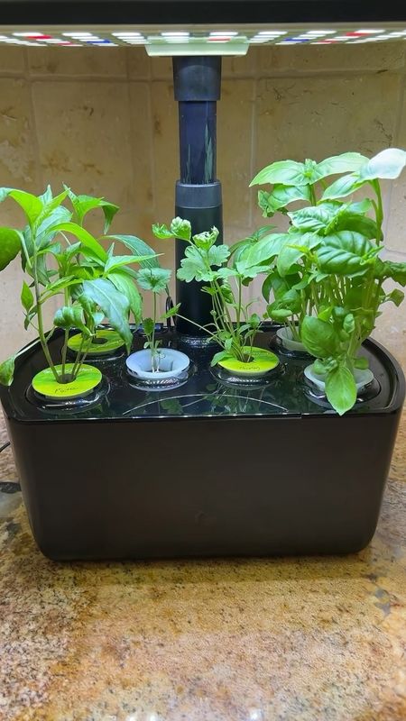 Aerogarden harvest 2.0. Hydroponics garden system

#LTKhome #LTKfamily #LTKVideo