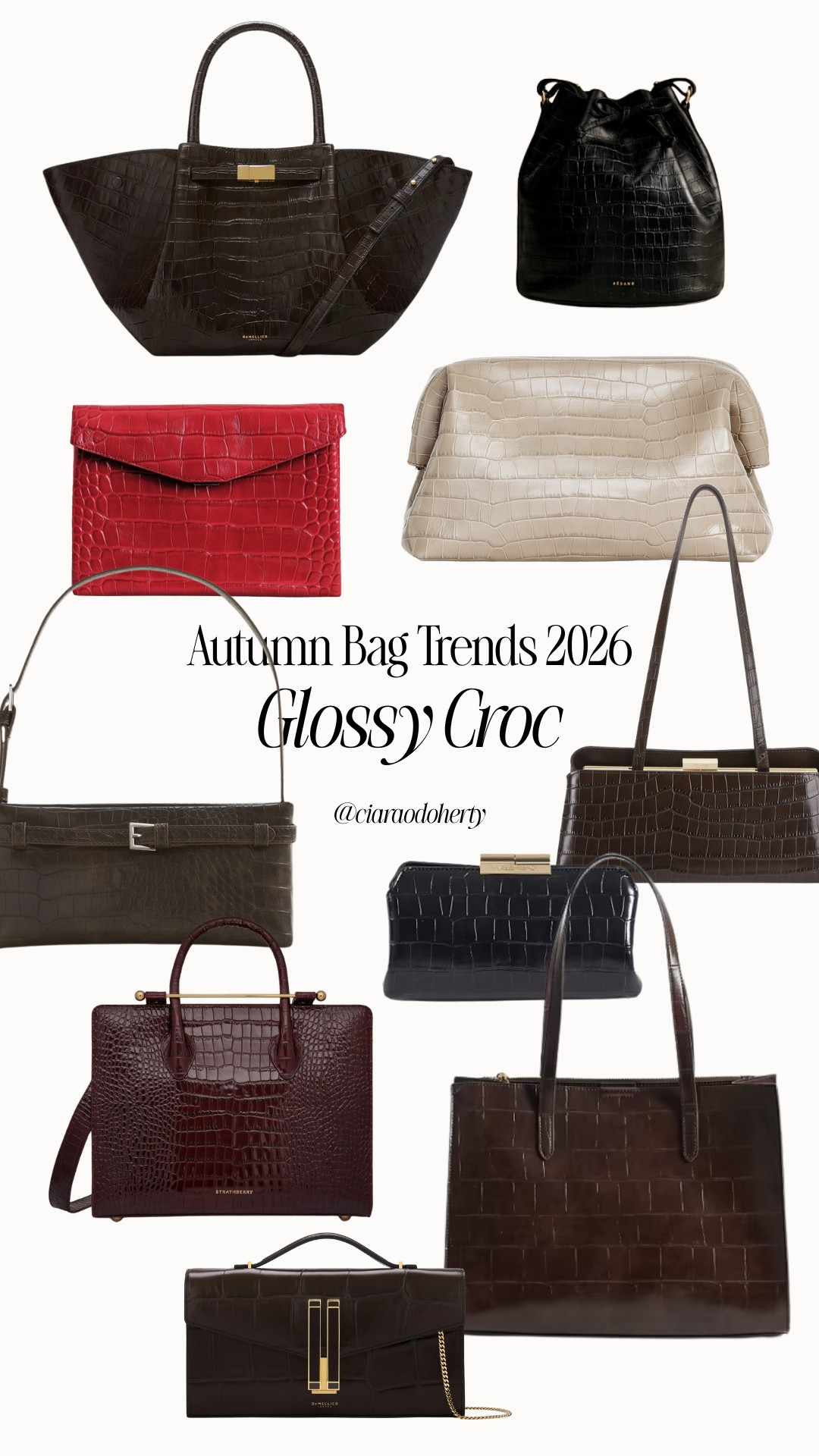 Autumn Bag Trends 2026: Glossy Croc Finish

#LTKFashionMonth #LTKbag #LTKautumn