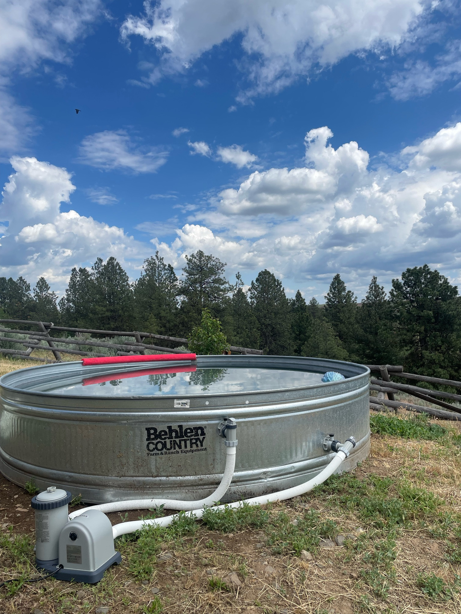 Stock Tank Pool, above ground pool, summer season, diy swimming pool, diy project 