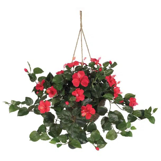 Geranium Hanging Basket Arrangement in Basket | Wayfair North America