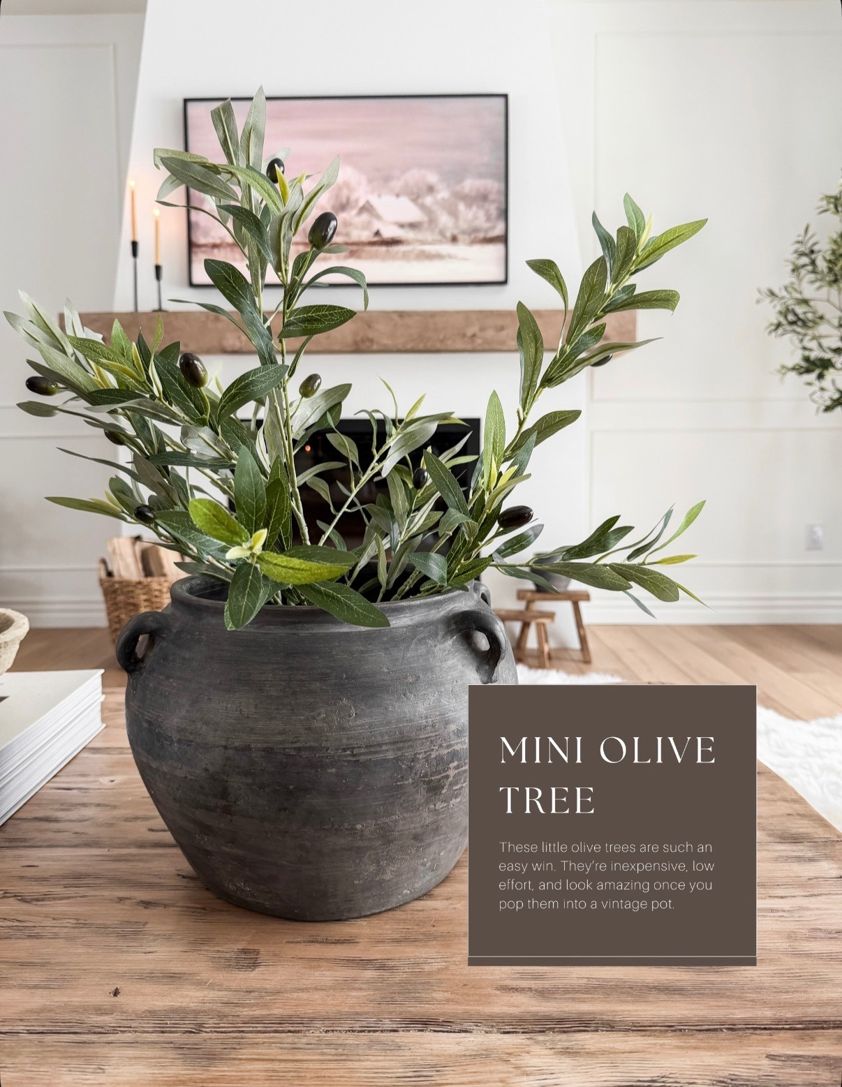 Amazon home staple — mini olive tree 🤎

These little olive trees are such an easy win. I love using them when a space needs something, but not a big statement. They add just enough greenery and softness without feeling overdone.

They’re low effort, and look so good once you drop them into a vintage-style pot or bowl. I use them on tables, shelves, and consoles whenever I want a quick refresh.

Such a simple way to add that cozy, organic touch.

#LTKstyletip #LTKhome #LTKsale
