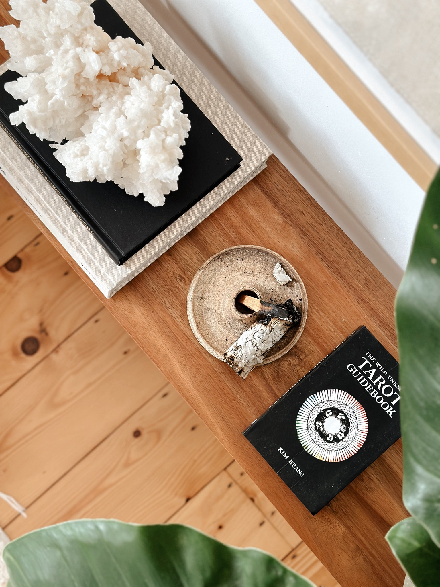 Must be the Season of the Witch 🔮

#blancobungalow
#tarotcards #animalcards
 #halloween

#LTKHalloween #LTKFindsUnder50 #LTKHome