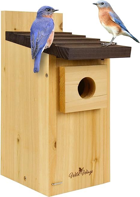 Wild Wings WWCH3 Cedar Blue Bird Box House | Amazon (US)