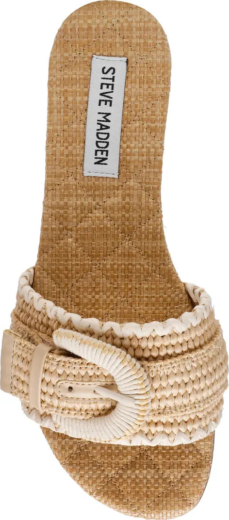 Steve Madden Merla Slide Sandal (Women) | Nordstrom | Nordstrom