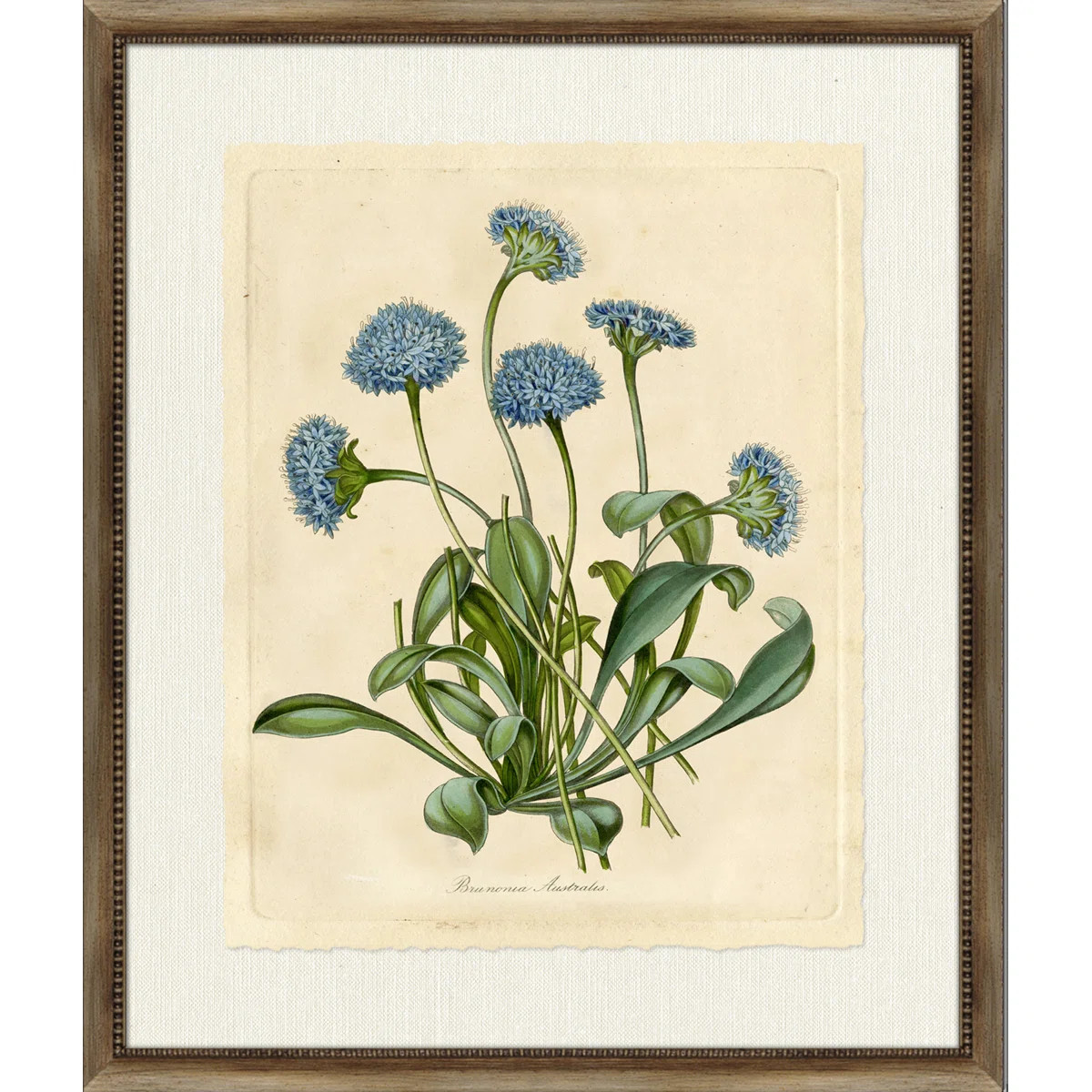 Bunonia Painting | Perigold