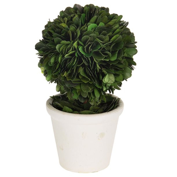Creative Co Op Preserved Boxwood Single Ball with Pot - Walmart.com | Walmart (US)