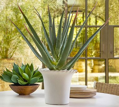 Faux Spike Aloe Plant | Pottery Barn (US)