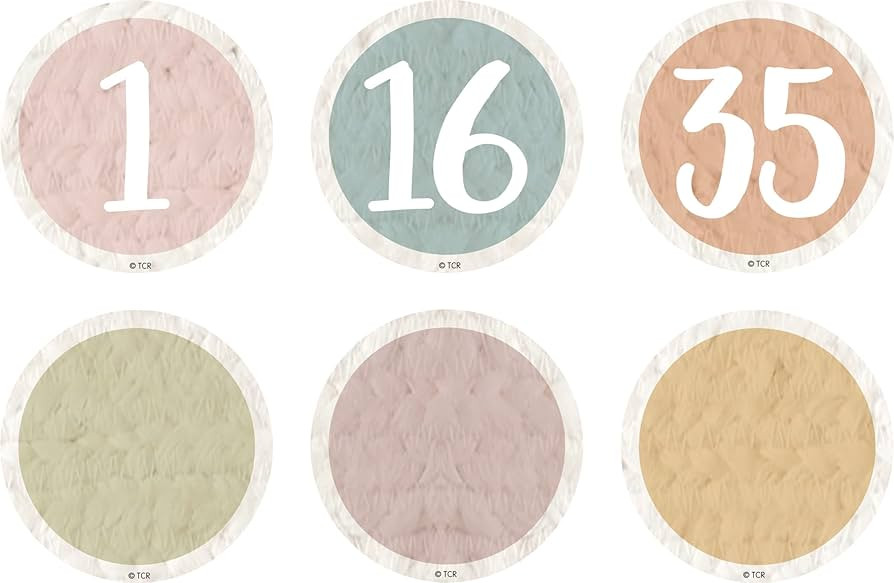 Teacher Created Resources Everyone is Welcome Numbers Magnetic Accents | Amazon (US)