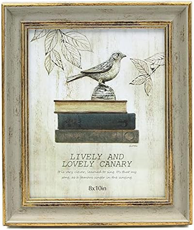 Afuly Vintage Picture Frame 8x10 Antique Photo Frames Green and Gold Shabby Chic Decor for Wall Hang | Amazon (US)
