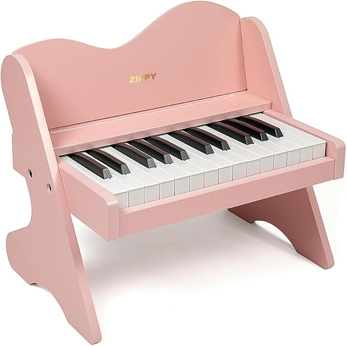 ZIPPY Kids Piano Keyboard, 25 Keys Digital Piano for Kids, Volume Adjustable, Mini Music Educatio... | Amazon (US)
