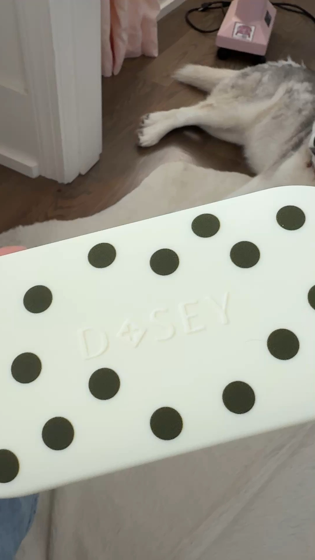 Disney pill organizer 

#LTKTravel #LTKHome #LTKOver40