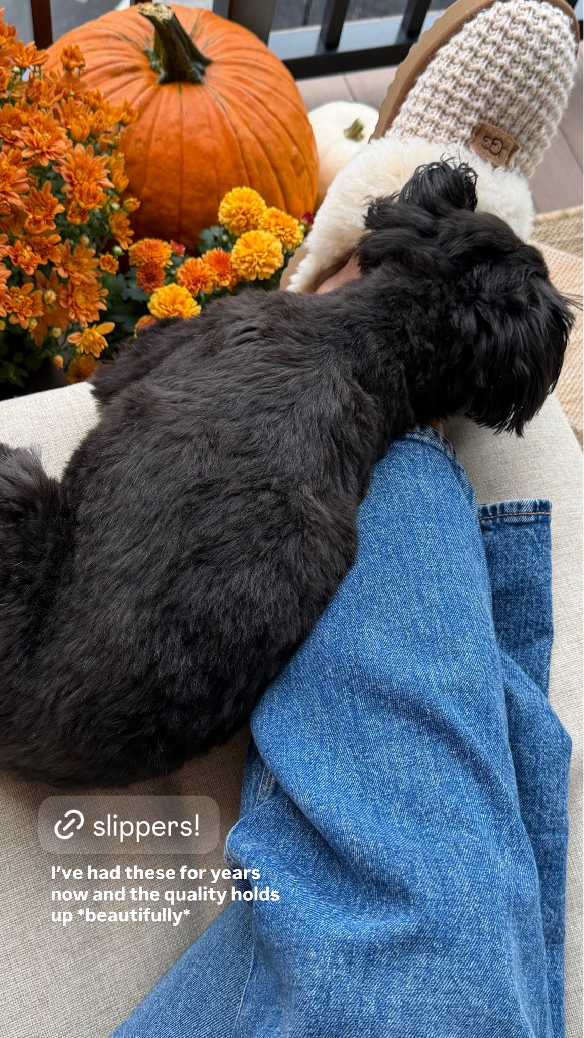 The comfiest slippers for fall!