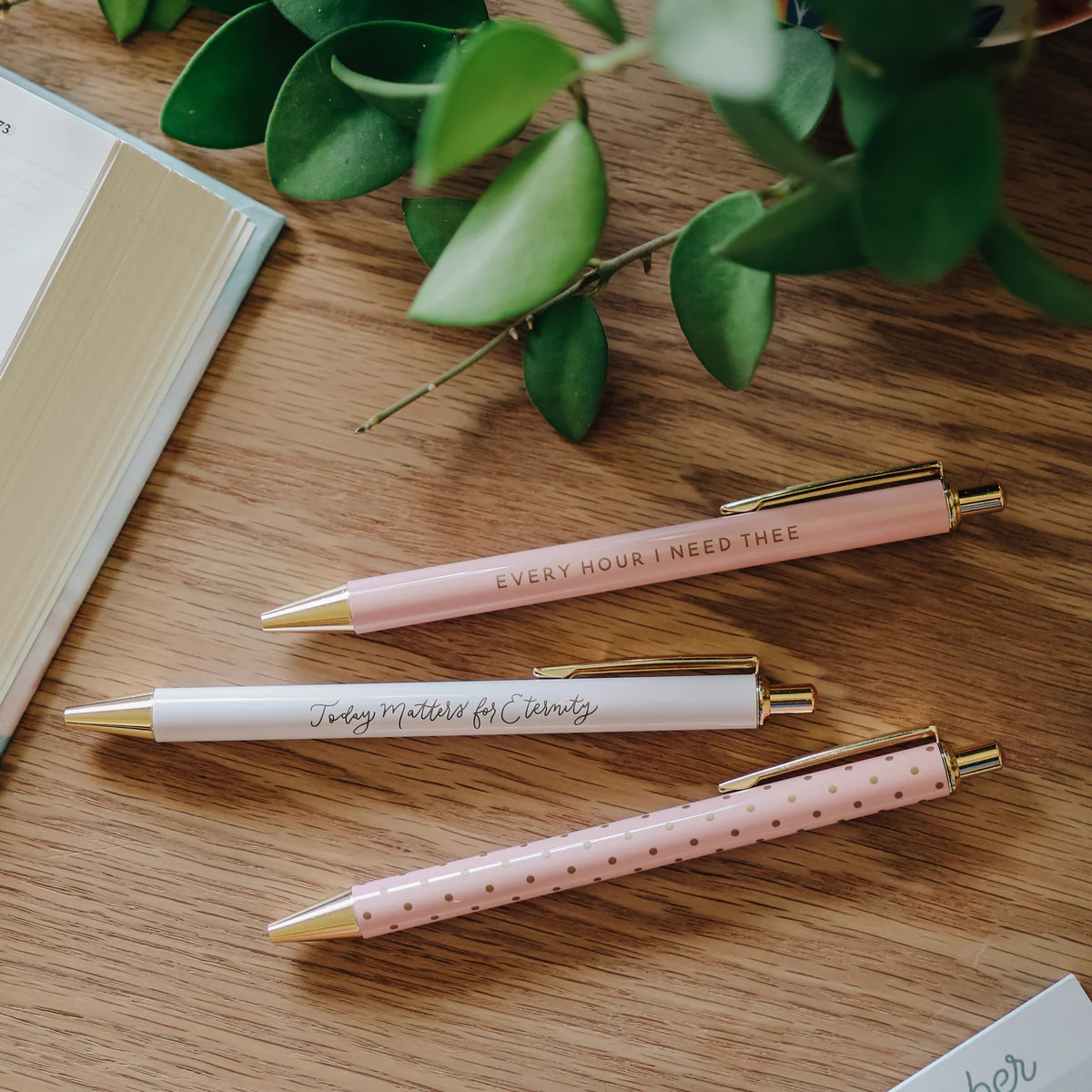 Blush Pen Set | The Daily Grace Co.