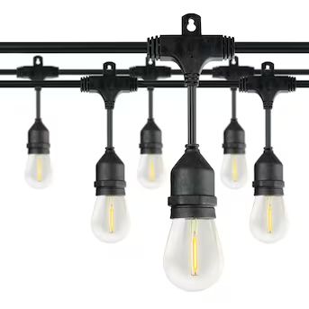 Honeywell 48-ft Plug-in Black Indoor/Outdoor String Light with 15 White-Light LED Edison Bulbs Lo... | Lowe's