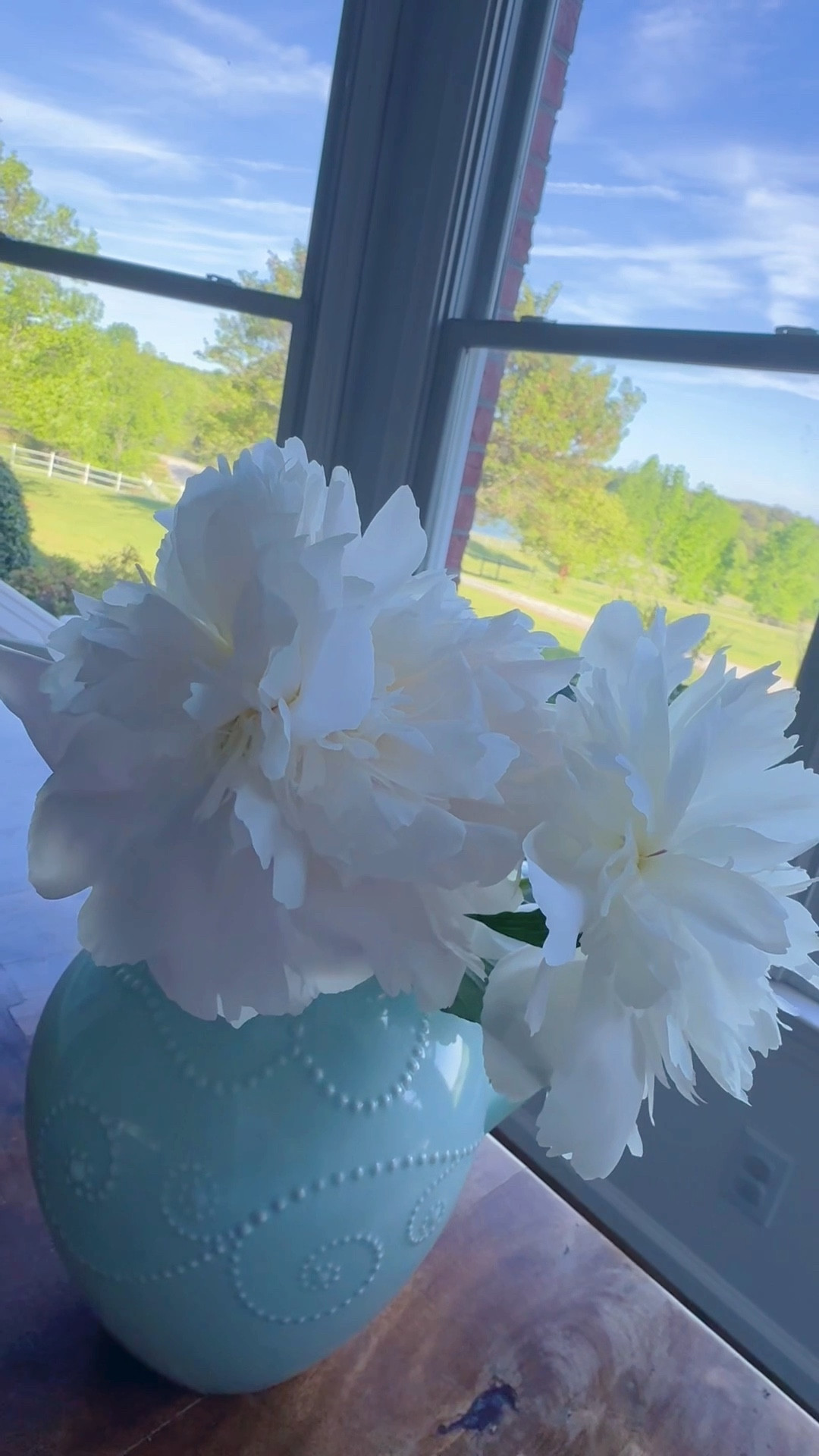 when you move to your dream farmhouse on the hill and it’s covered in blooming peony bushes 🌸 #iminheaven #whatadream 