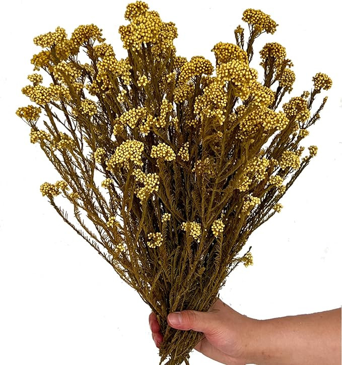 17 Inches Natural Dried Millet Flower Bouquet for Decor, 22-25 Stems Home and Wedding Decoration ... | Amazon (US)
