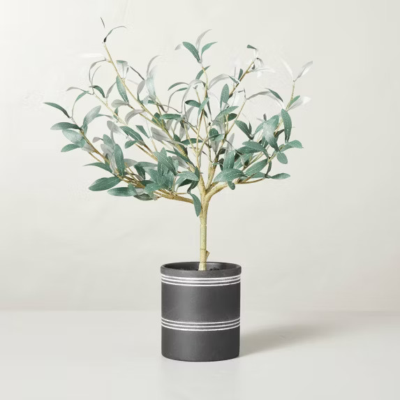 21" x 12" Faux Olive Leaf Ceramic Pot Arrangement - Hearth & Hand™ with Magnoli... | Target