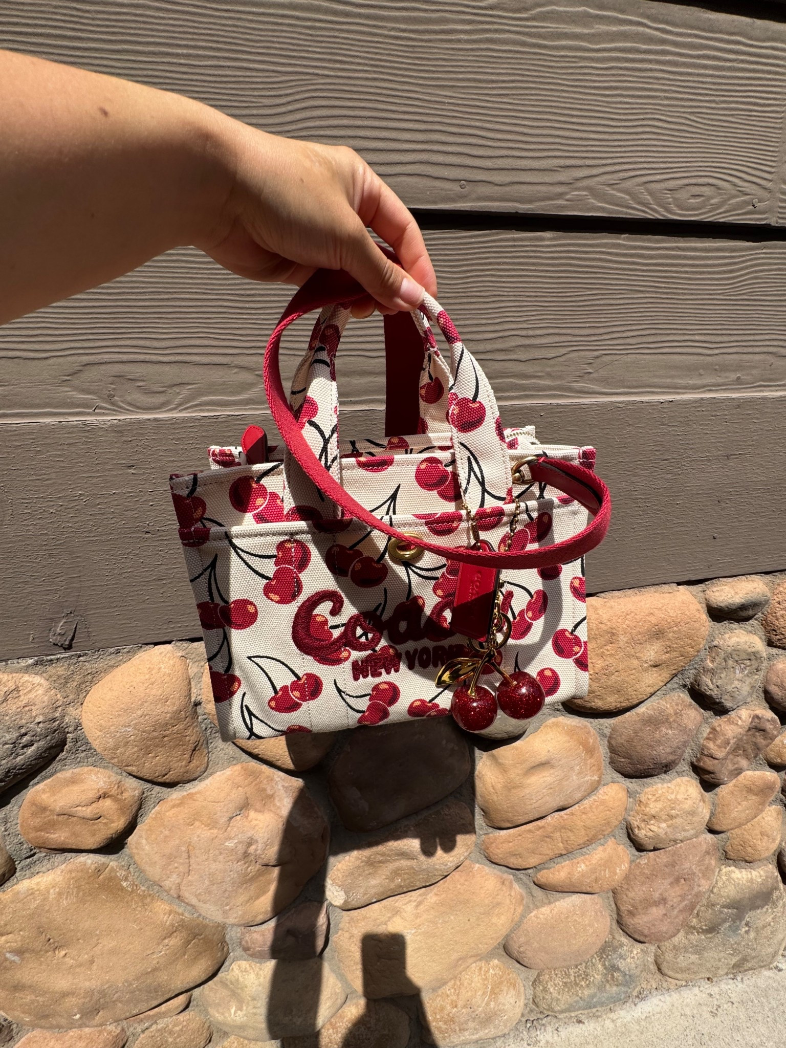 How cute is this Coach tote?! 😍🍒 This one is tote 26 & it’s the perfect size. Not too big & not too small. There’s a few different sizes depending on preference 🥰
Coach Bag, Tote Bag, Cherry Tote

#LTKItBag #LTKU #LTKStyleTip