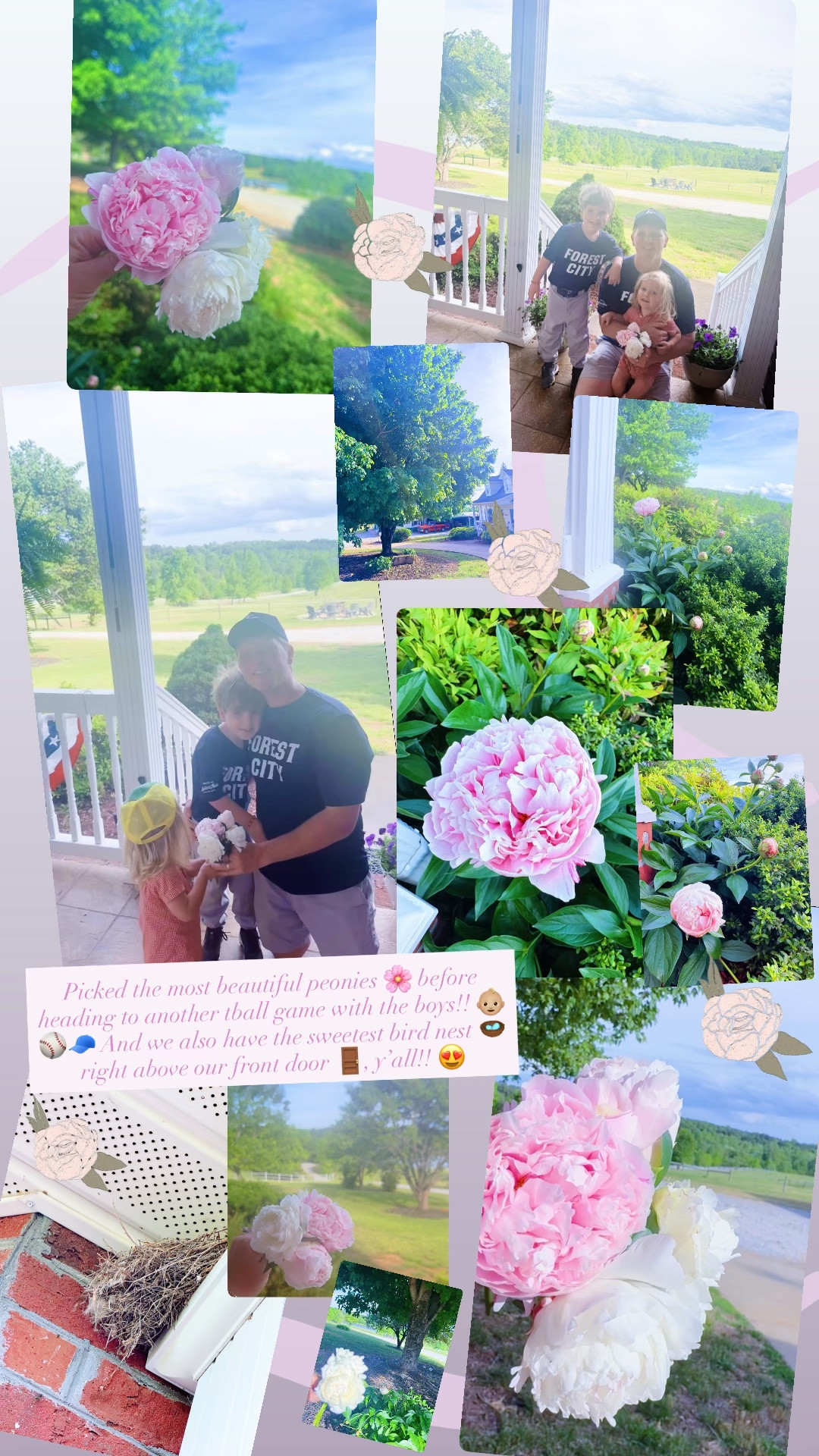 Picked the most beautiful peonies 🌸 before heading to another tball game with the boys!! 👶🏼⚾️🧢 And we also have the sweetest bird nest 🪺 right above our front door 🚪, y’all!! 😍