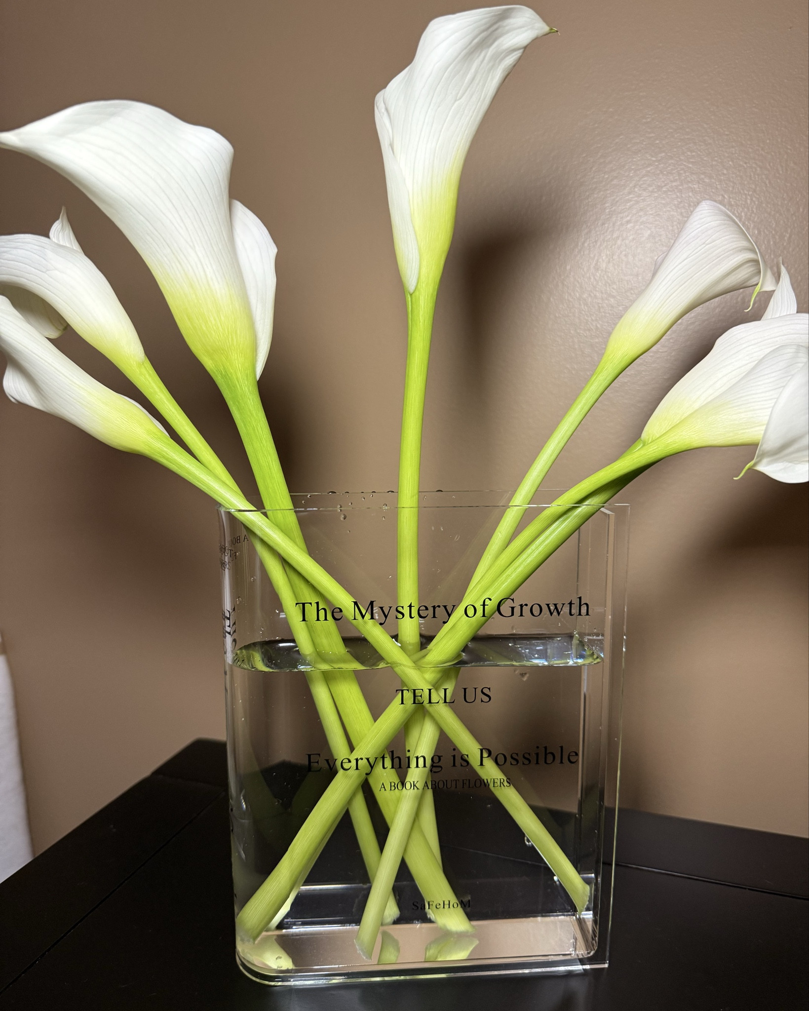 This clear acrylic vase designed like a book stole my heart the moment I saw it. Perfect gift for book lovers or even tucked sideways on a bookshelf. It just adds a touch of whimsy to your room. Plus the words on the front are just so magical.  

#LTKHome #LTKFindsUnder50