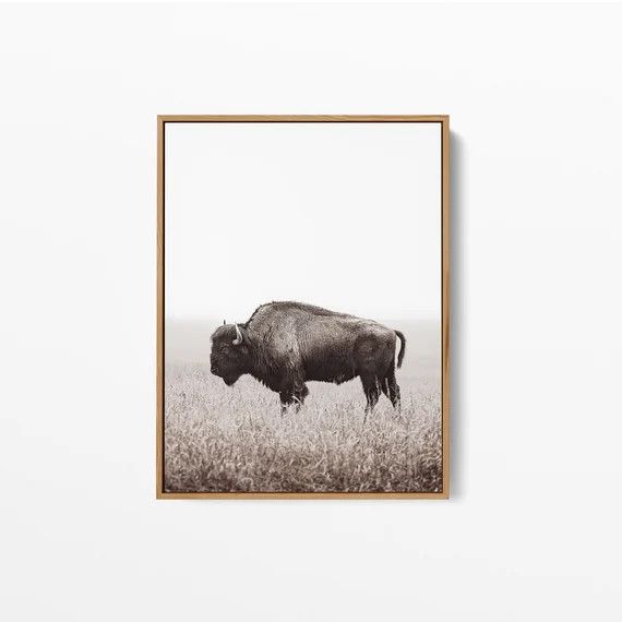 Buffalo Print Bison Wall Art American Bison Printblack | Etsy | Etsy (US)