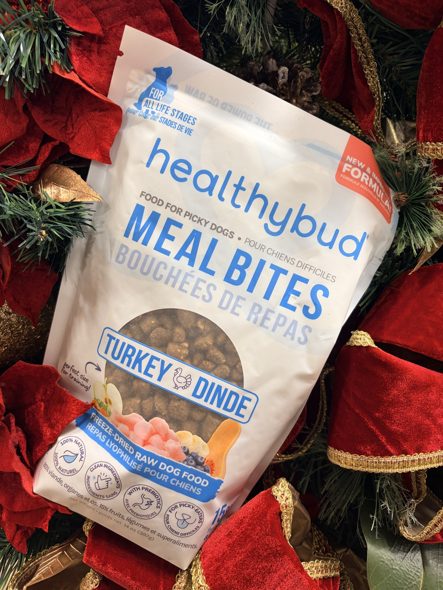 #LTKPets #LTKGiftGuide #LTKHoliday