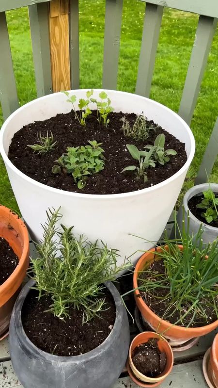 Sharing my herb garden updates for this year!

#LTKhome #LTKFind #LTKSeasonal