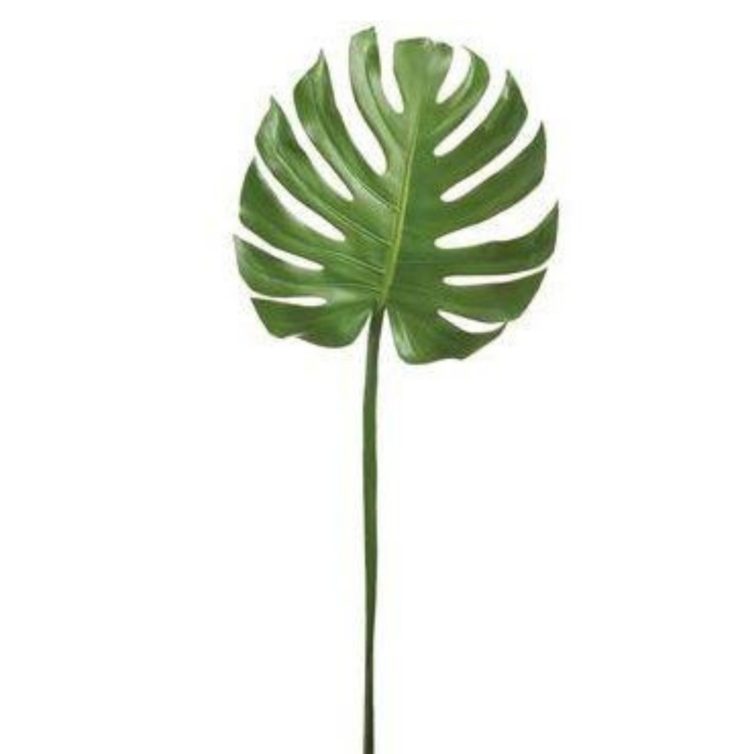 Monstera Leaf | Megan Molten