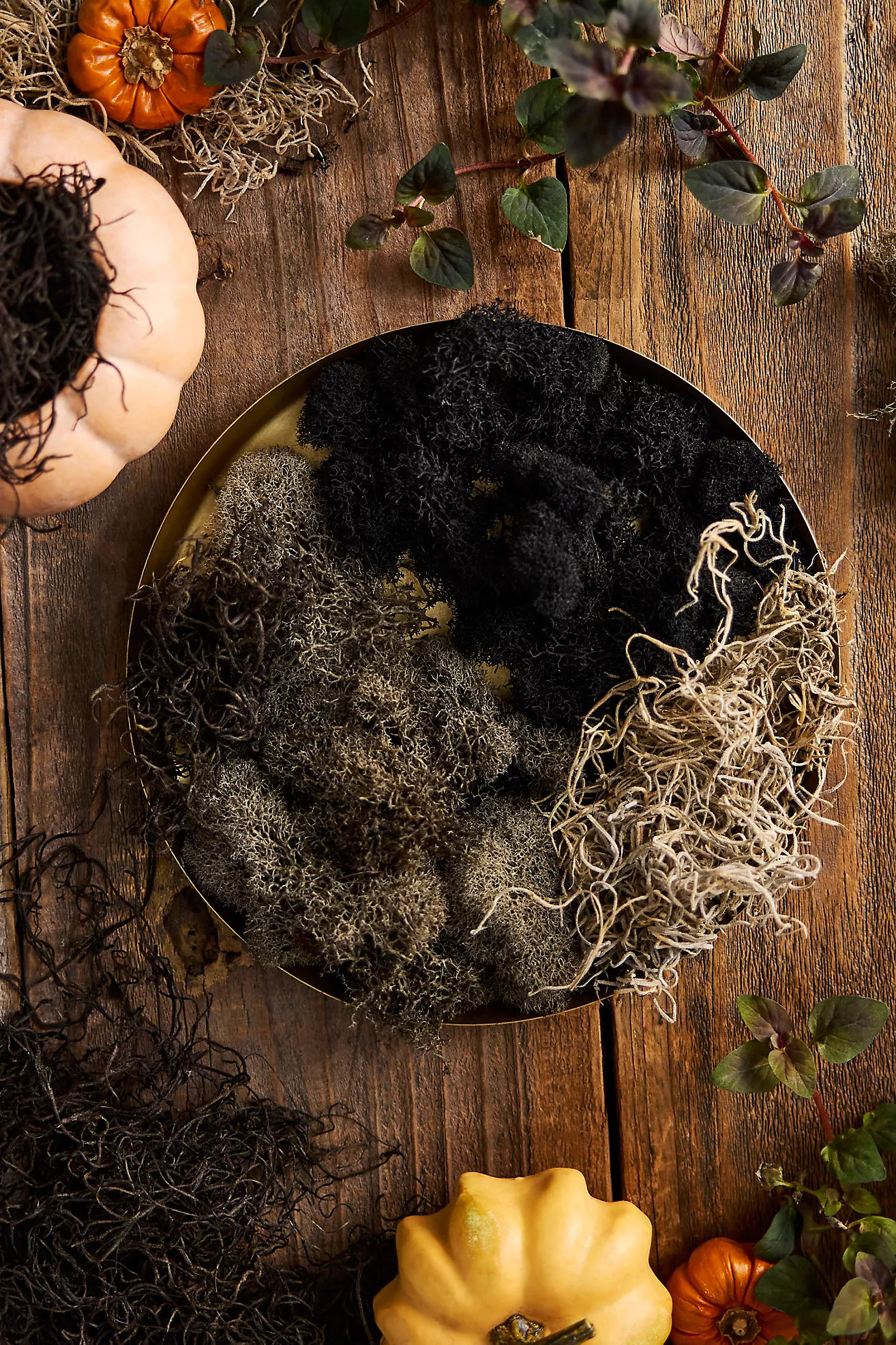 Spooky Preserved Moss Collection | Anthropologie (US)