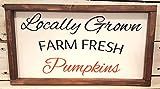 Locally Grown Farm Fresh Pumpkins, Fall decor, Thanksgiving decor, Fall sign, Thanksgiving sign | Amazon (US)