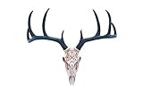 Near and Deer Faux Taxidermy Native American Carving Deer Skull Wall Mount, Rose Gold/Black | Amazon (US)