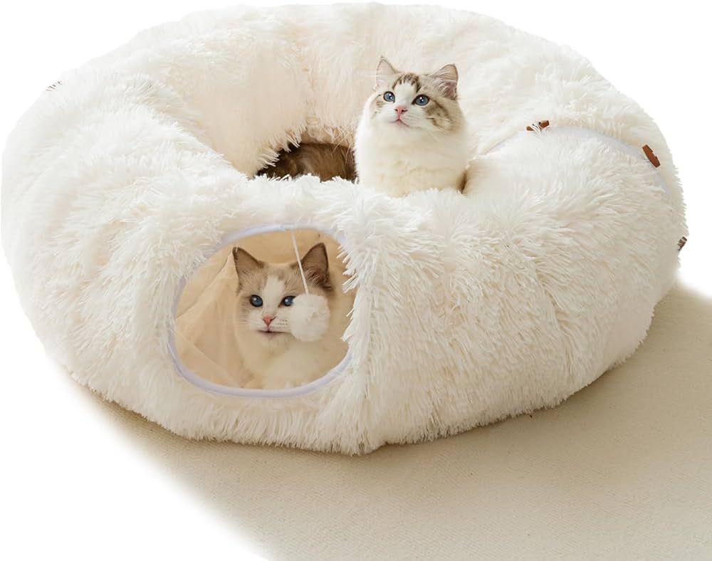 Winter Plush Cat Tunnel with Cat Bed for Indoor Cats,Multifunctional Cat Toys for Small Medium La... | Amazon (US)