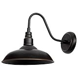 AA Warehousing EL0523ORB Lora Outdoor Wall Light, Large, Oil-Rubbed Bronze | Amazon (US)