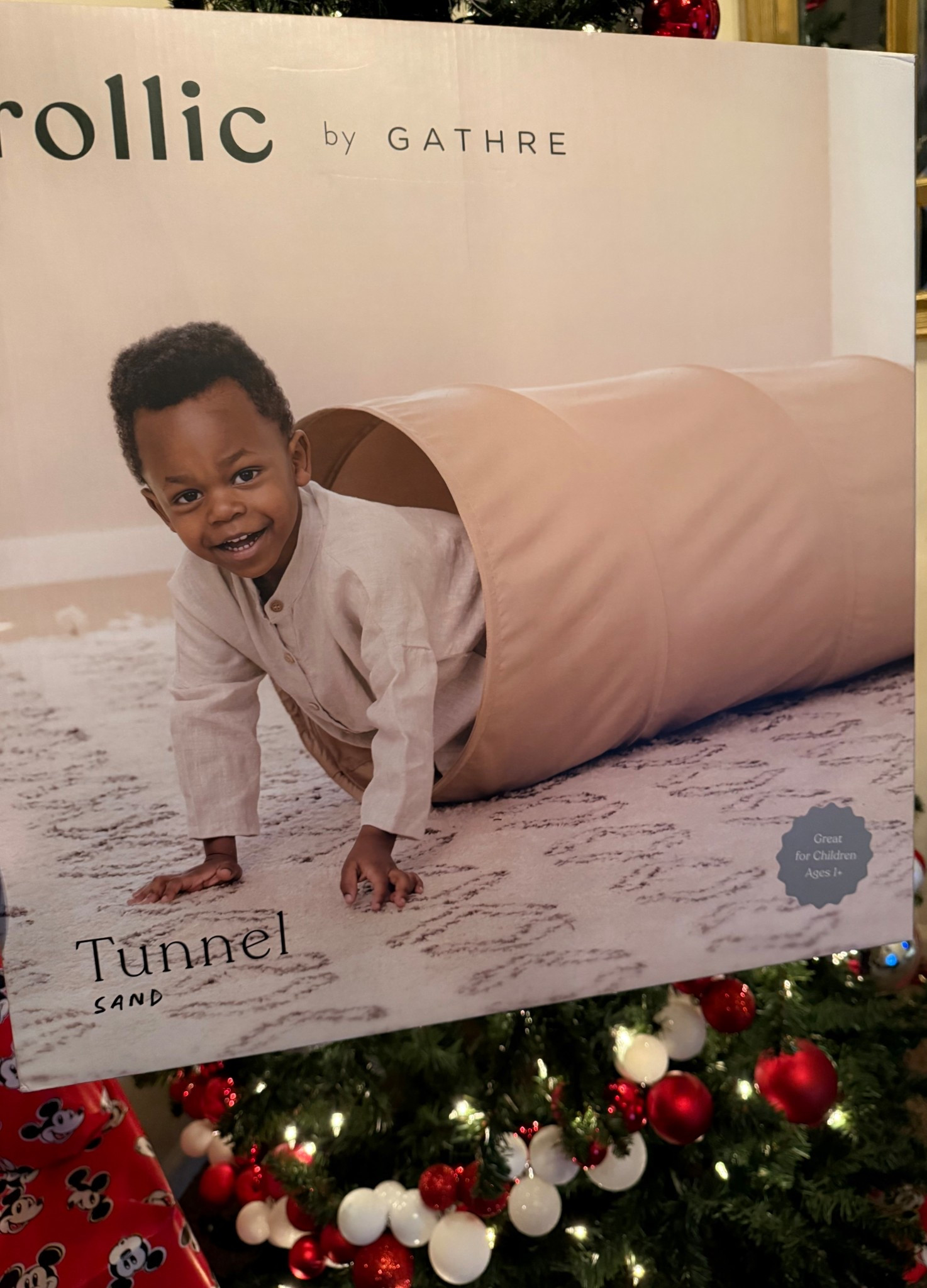 Such a simple toy but a BIG hit in our house 🤍 The Rollic Play Tunnel gets used daily!


#LTKBaby #LTKGiftGuide #LTKHoliday